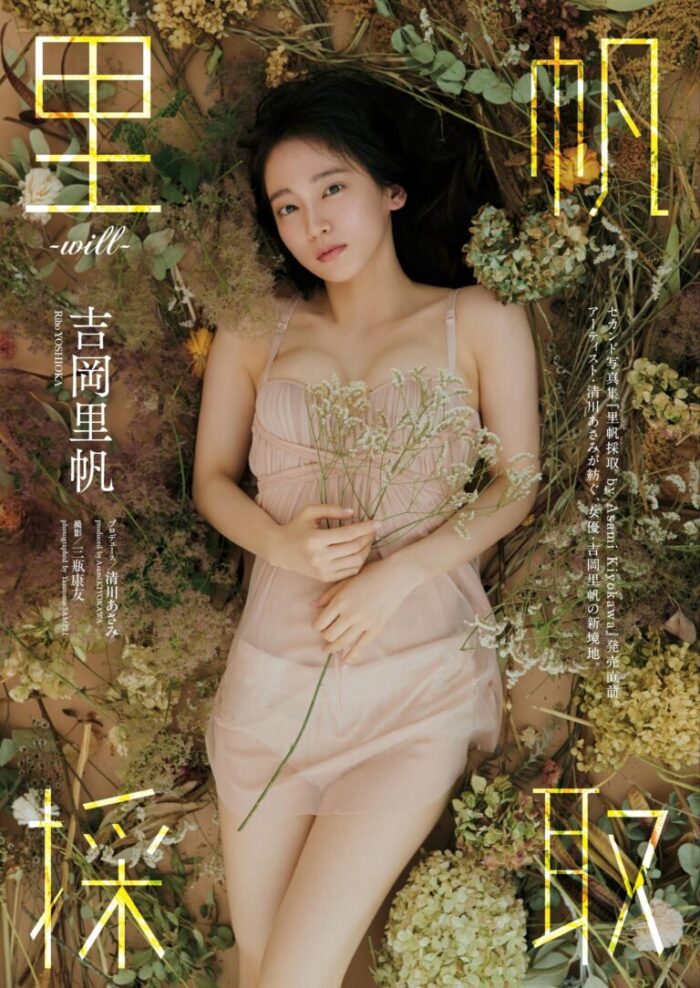 吉岡里帆 おっぱい